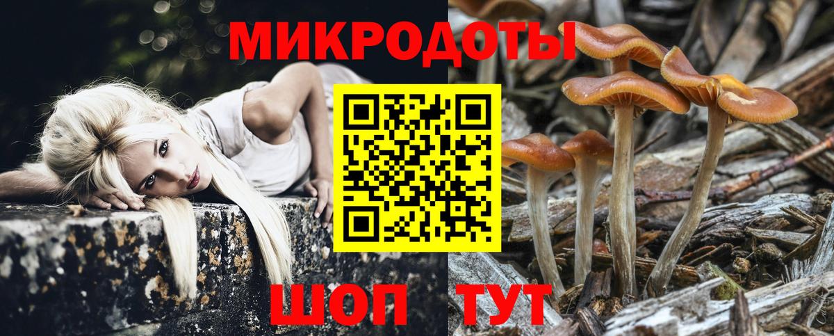 Псилоцибиновые грибы мицелий Надым